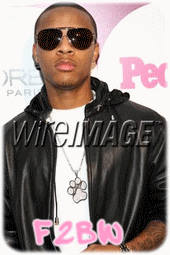 bow wow